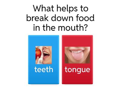 Body parts and organs quiz