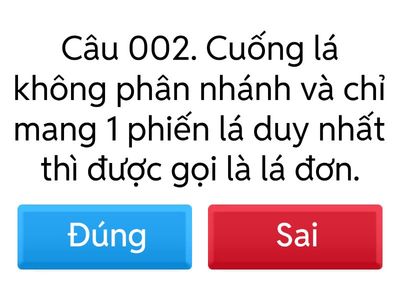 Thực Vật
