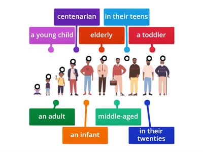 Unit1 Revision Life Stages