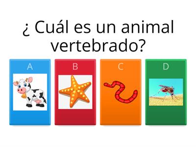 Animales vertebrados