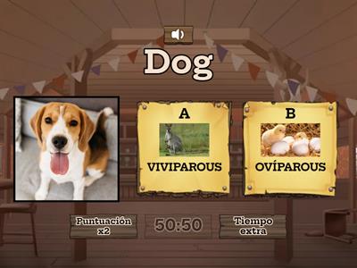  VIVIPAROUS OR OVIPAROUS