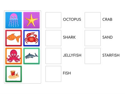  Sea animals match up ESL
