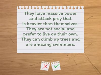 Rainforest Floor Animals Quiz 