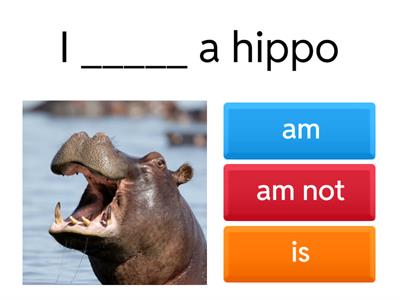 To be afirmative negative interrogative