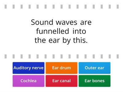 Parts of the Ear