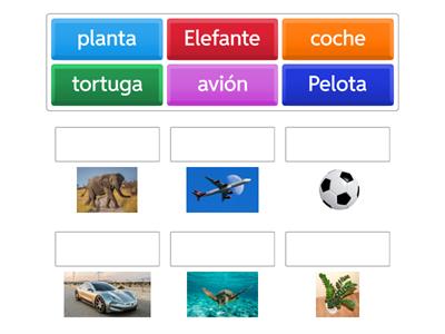 actividad lectoescritura