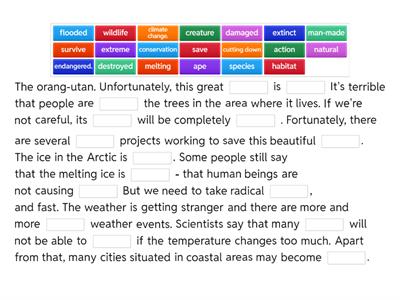 B21 5A Environment gap-fill