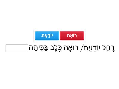 Fill in the blank the correct verb #3