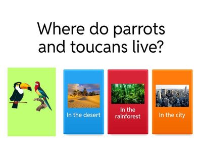 QUIZ Animals of the Rainforest 