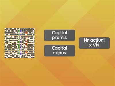 Capital social subscris