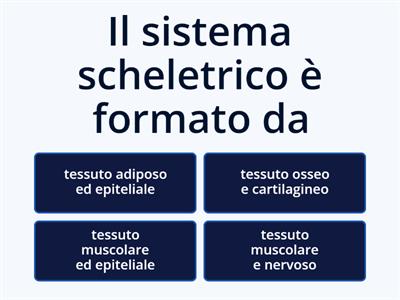 Sistema scheletrico umano in quiz