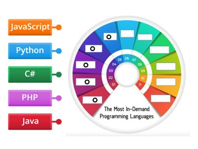 Programming languages 