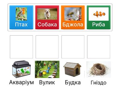 Тварини та їхні домівки