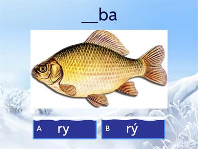 Tvrdé slabiky