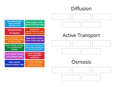 cell transport