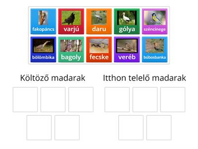 Költöző madarak-itthon maradók