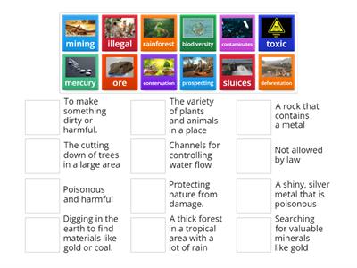 More Valueable Than Gold