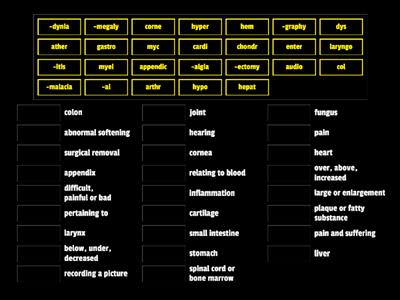 Medical Terminology Part 1