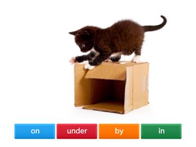  in, on, under, by