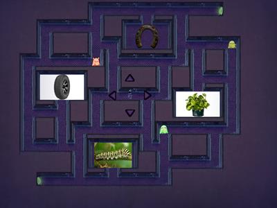 Maze Chase-One Word Clues