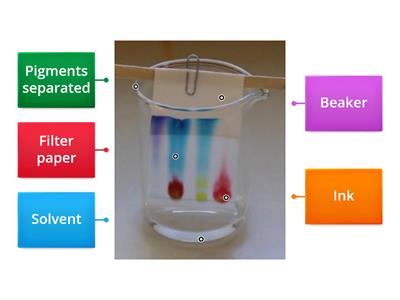 Chromatography