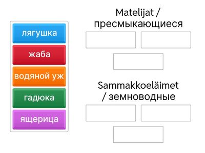 Matelijat ja sammakkoeläimet_luokittelu