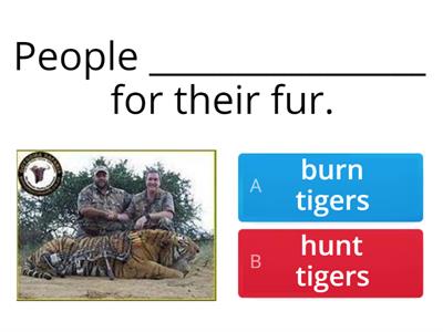 Enviroment vocabulary 