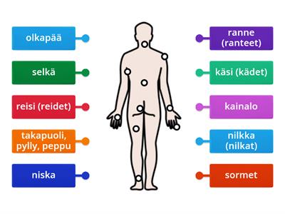 Kohteen Kehonosat takaapäin kopio