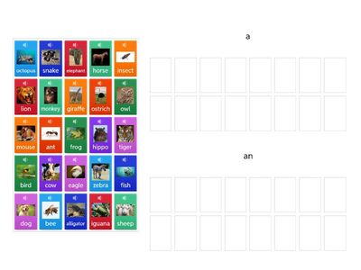  a / an Animals RU Starters 