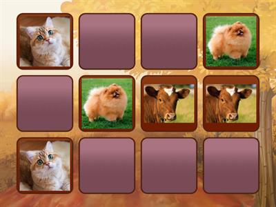 Розвиток уваги