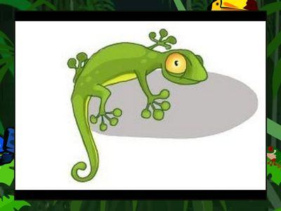 Starters L4 Reading and Writing Part 1