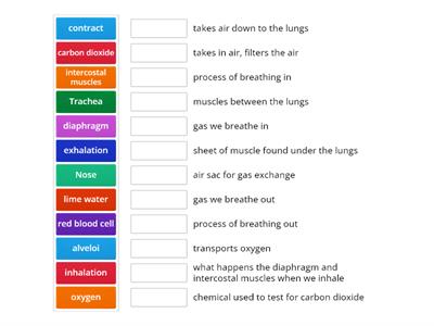 Breathing system