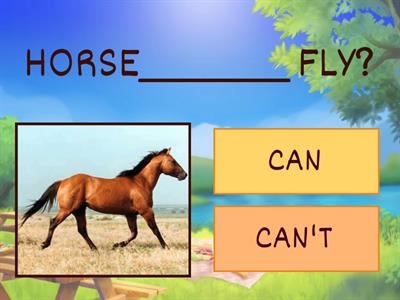 WILD ANIMALS: can or cant