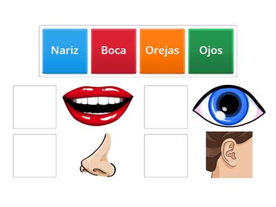 Partes del cuerpo/ Nursery