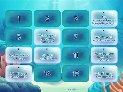 Personal Information Memory Game.