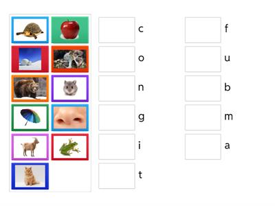 KJ Beginning Sound Match