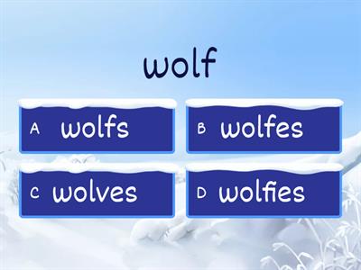 Irregular Plural Nouns