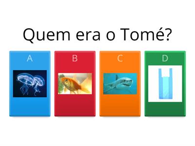 Será o mar o meu lugar?