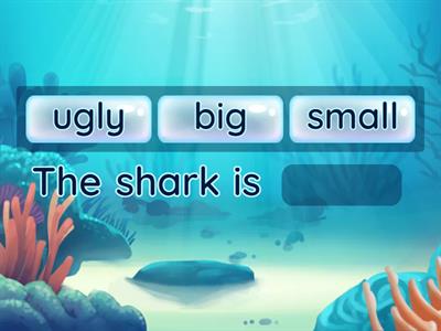 OCEAN ANIMALS & ADJECTIVES