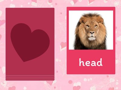 Super Safari 2 animals body