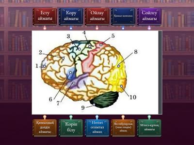 Гейлерге арналған жыныстық позициялар