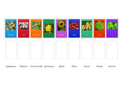  Растенията около нас