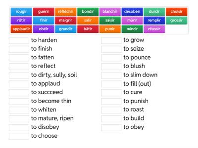 Regular -IR Verbs French