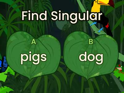 Singular and plural