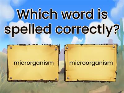 8.6 Which Word is Spelled Correctly? 