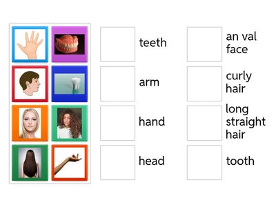 what is the part of body?