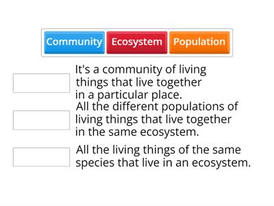 ECOSYSTEMS