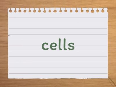 Lesson 2.1 Structure and function of cells