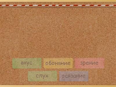 Окружающий мир 3 класс. Органы чувств