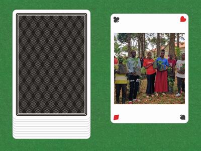 Primary Education Year 4